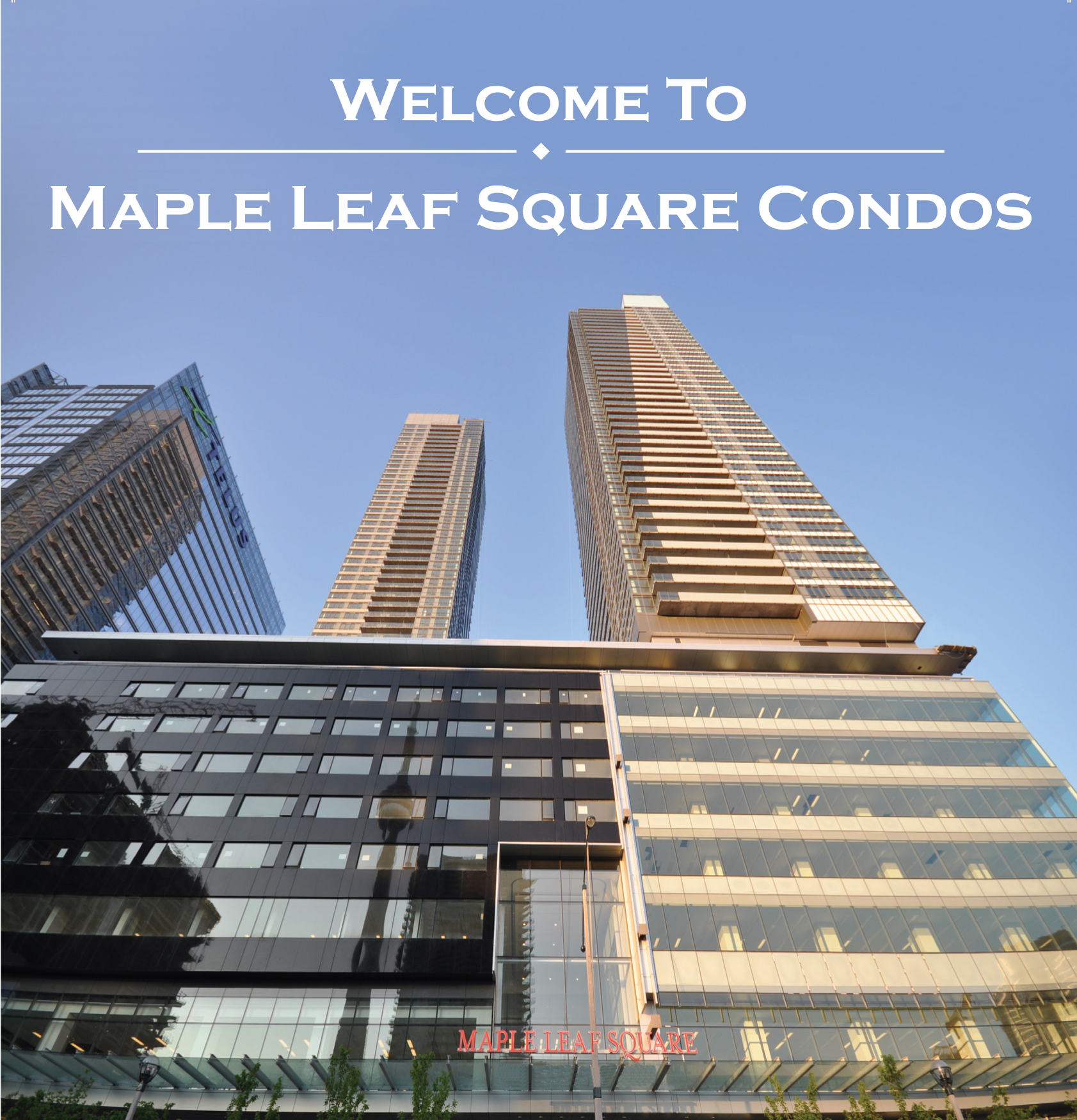 Maple Leaf Square